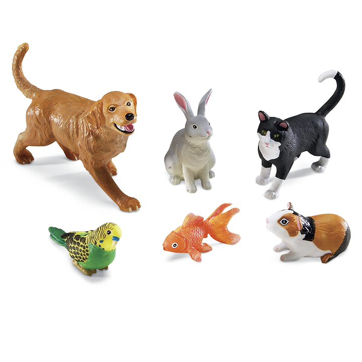 jumbo-pets-early-years-direct