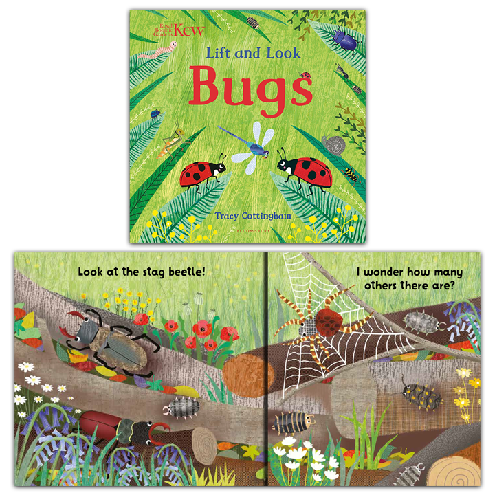 Animals and Nature Board Book Pack - Early Years Direct